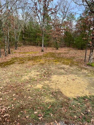 100 Seay Lane, Mena, AR 71953