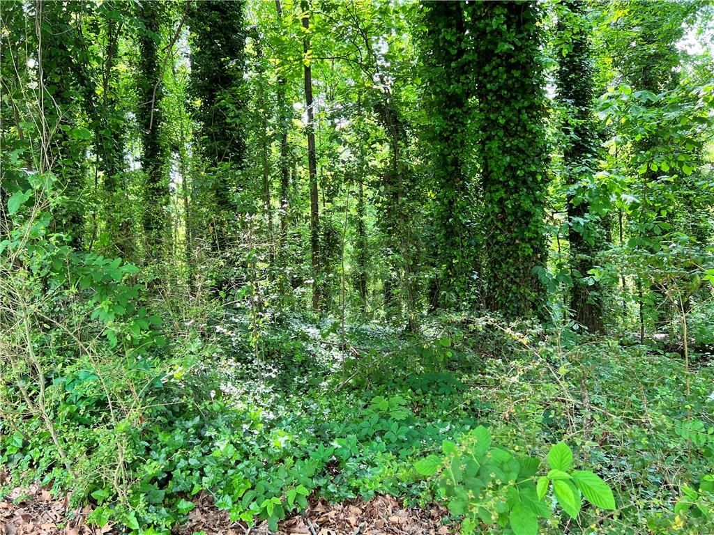 2642 Burton NW Road, Atlanta, GA 30311