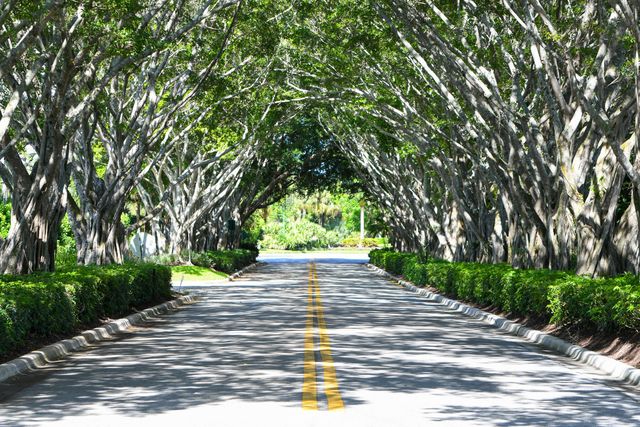 8197 Cypress Point Road, West Palm Beach, FL 33412