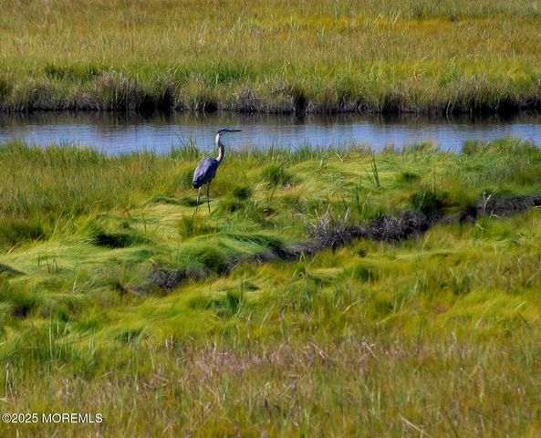 124 Saint Lawrence Boulevard, Brick, NJ 08723