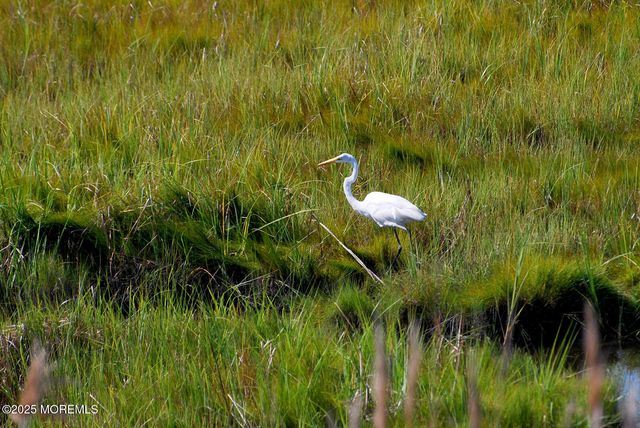 124 Saint Lawrence Boulevard, Brick, NJ 08723