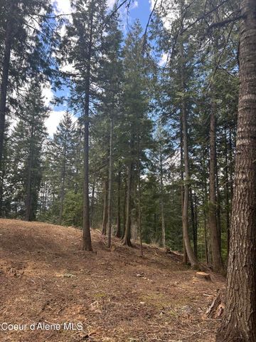 Lot 17 White Cloud Dr, Sandpoint, ID 83864