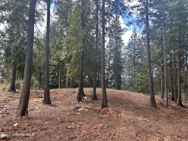 Lot 17 White Cloud Dr, Sandpoint, ID 83864