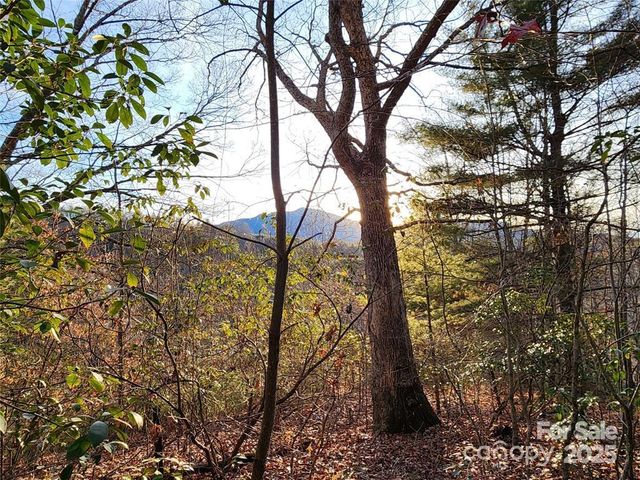433 Deneen Road, Burnsville, NC 28714