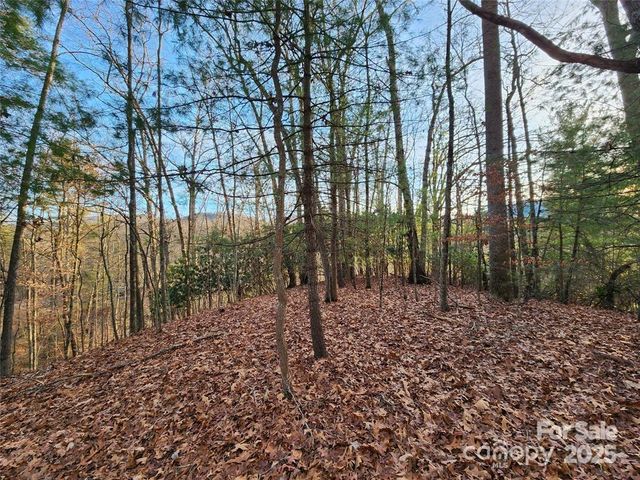 433 Deneen Road, Burnsville, NC 28714