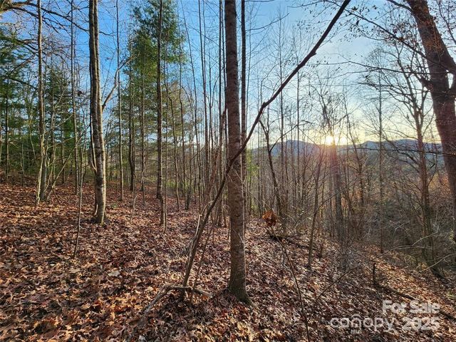433 Deneen Road, Burnsville, NC 28714