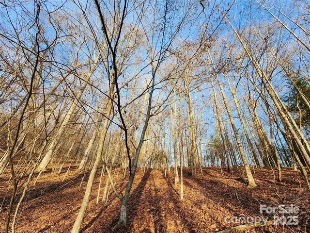433 Deneen Road, Burnsville, NC 28714