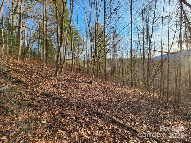 433 Deneen Road, Burnsville, NC 28714