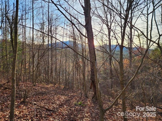 433 Deneen Road, Burnsville, NC 28714