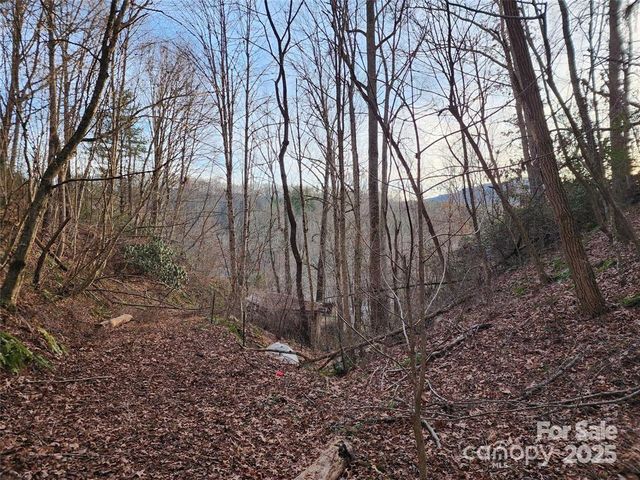 433 Deneen Road, Burnsville, NC 28714