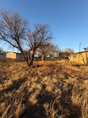 701 S 14th Street, Brownfield, TX 79316