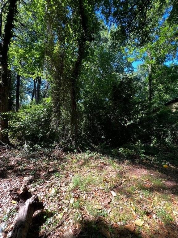 0 Dalton Street SE, Atlanta, GA 30315