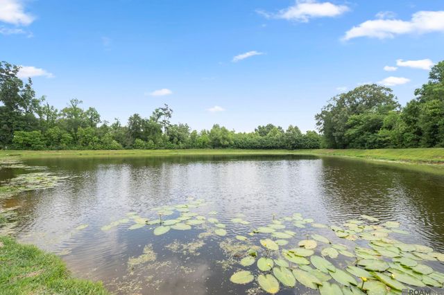 7728 Amite Springs Dr, Denham Springs, LA 70726