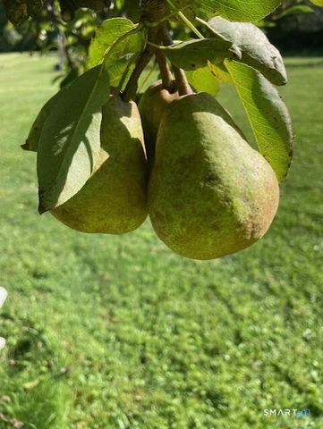 1769 Goshen Road, Torrington, CT 06790