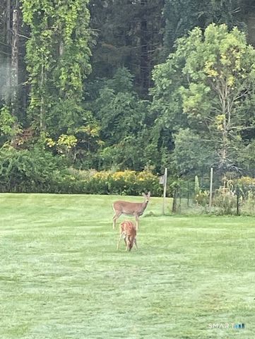 1769 Goshen Road, Torrington, CT 06790