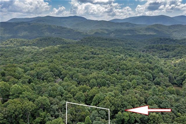 78 Tomahawk Trail, Blue Ridge, GA 30513