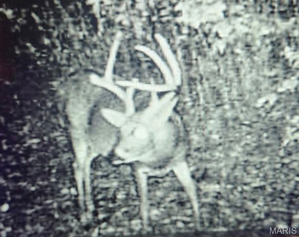 5063 Rock Road, Waterloo, IL 62298