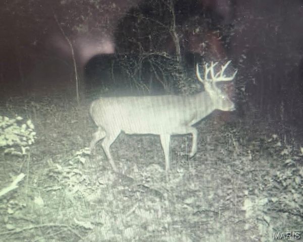 5063 Rock Road, Waterloo, IL 62298