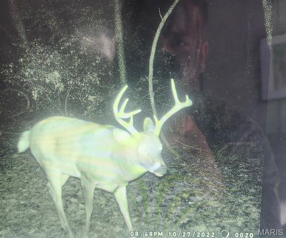 5063 Rock Road, Waterloo, IL 62298