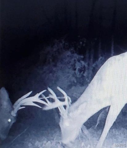 5063 Rock Road, Waterloo, IL 62298