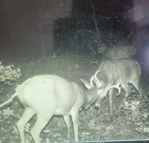 5063 Rock Road, Waterloo, IL 62298