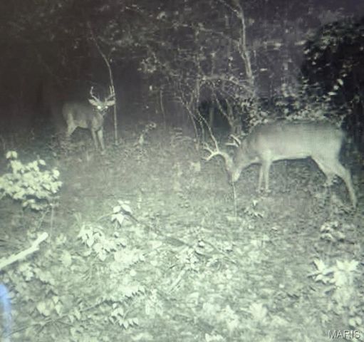 5063 Rock Road, Waterloo, IL 62298