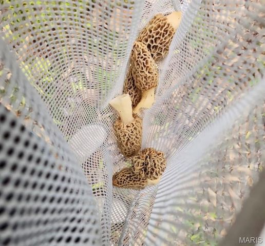 5063 Rock Road, Waterloo, IL 62298