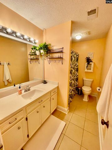 125 Forty Love Point, Chapin, SC 29036