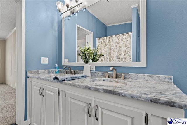 427 E Friendfield Rd, Coward, SC 29530