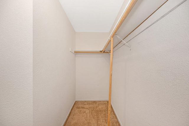 8654 Black Kite Dr, Elk Grove, CA 95624