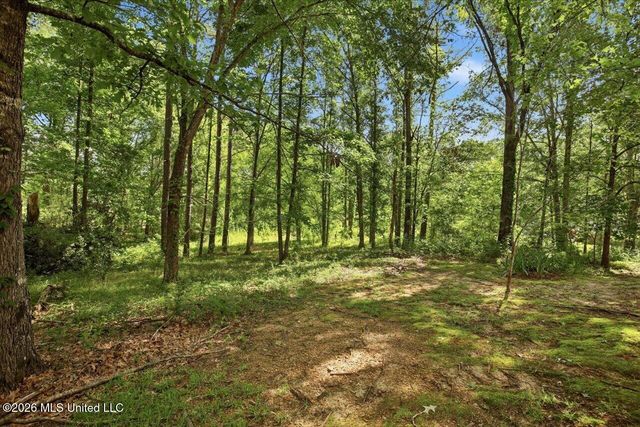 106 Mahaffey Cove, Raymond, MS 39154