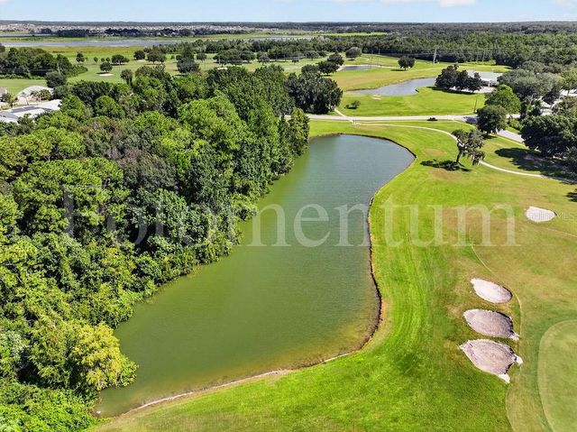 439 GRAND VISTA TRAIL, Leesburg, FL 34748