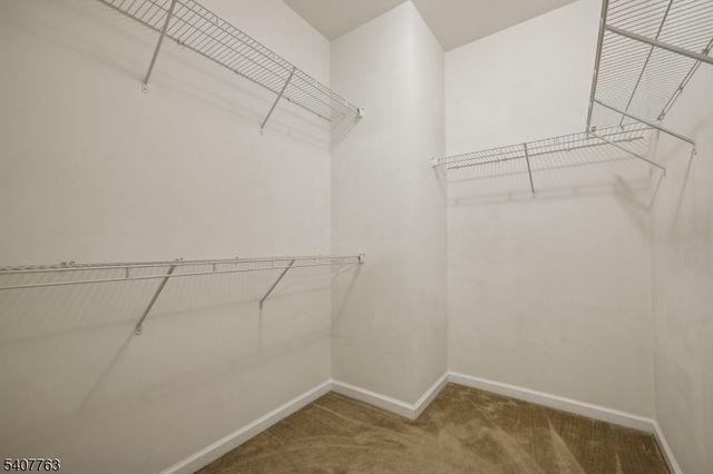 5 Albert Ct, Randolph Twp., NJ 07869