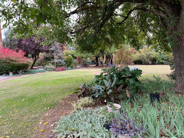 8087 El Pino Drive, Palo Cedro, CA 96073