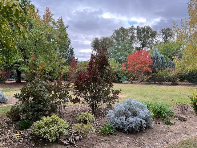 8087 El Pino Drive, Palo Cedro, CA 96073