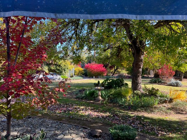 8087 El Pino Drive, Palo Cedro, CA 96073