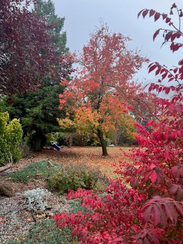 8087 El Pino Drive, Palo Cedro, CA 96073