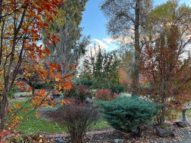 8087 El Pino Drive, Palo Cedro, CA 96073