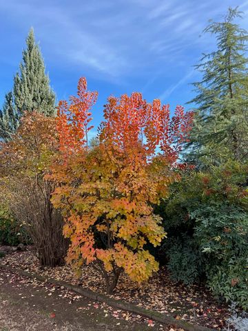 8087 El Pino Drive, Palo Cedro, CA 96073