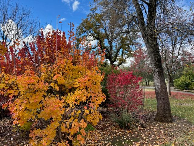 8087 El Pino Drive, Palo Cedro, CA 96073