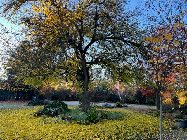 8087 El Pino Drive, Palo Cedro, CA 96073