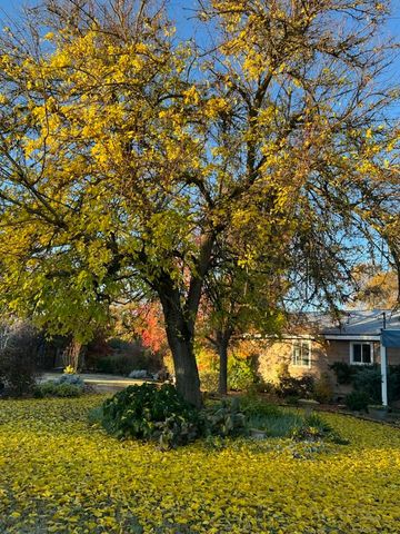 8087 El Pino Drive, Palo Cedro, CA 96073