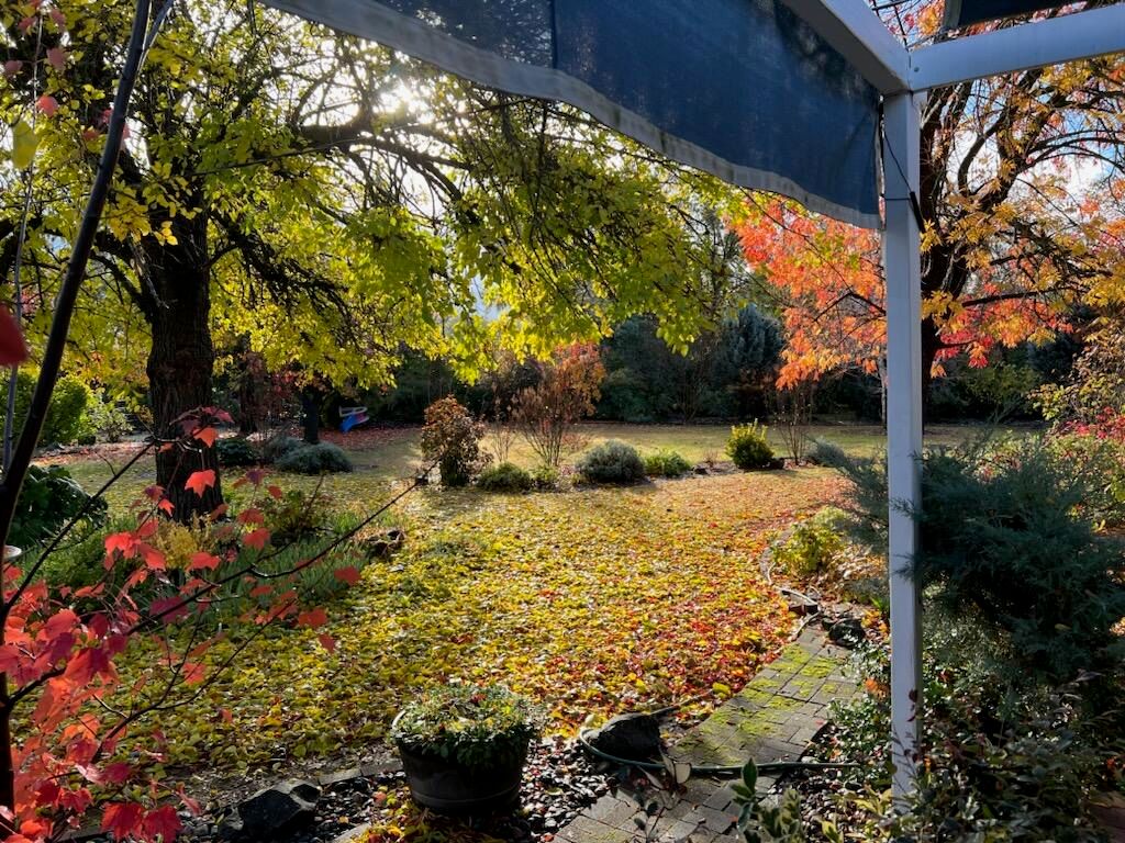 8087 El Pino Drive, Palo Cedro, CA 96073