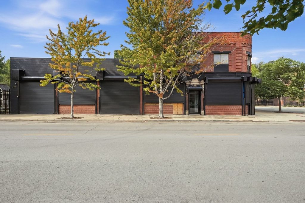 222 E 61st Street, Chicago, IL 60637 — photo 3