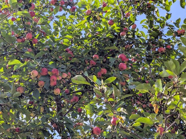 1607 6th St E, Ashland, WI 54806