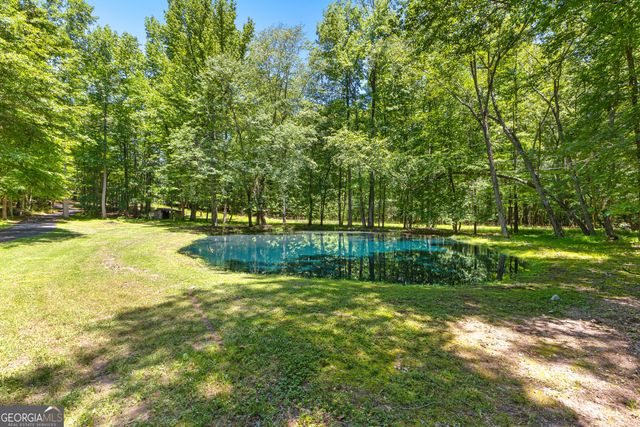 335 Winding Stream Trail, Hampton, GA 30228