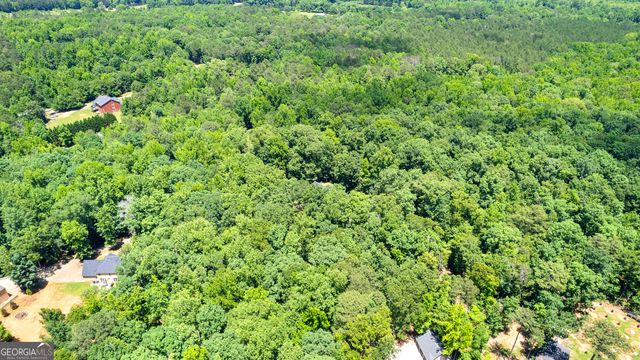 335 Winding Stream Trail, Hampton, GA 30228