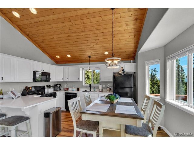 227 Valley Of The Sun Dr, Fairplay, CO 80440