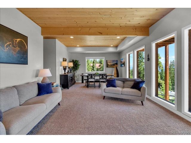 227 Valley Of The Sun Dr, Fairplay, CO 80440