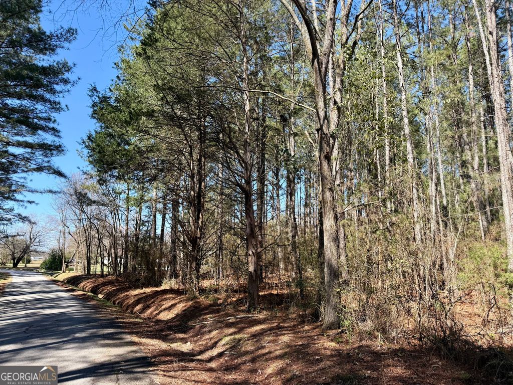 0 Wash Brown Road, Elberton, GA 30635 — photo 2